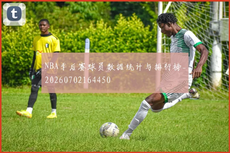NBA季后赛球员数据统计与排行榜_20260702164450