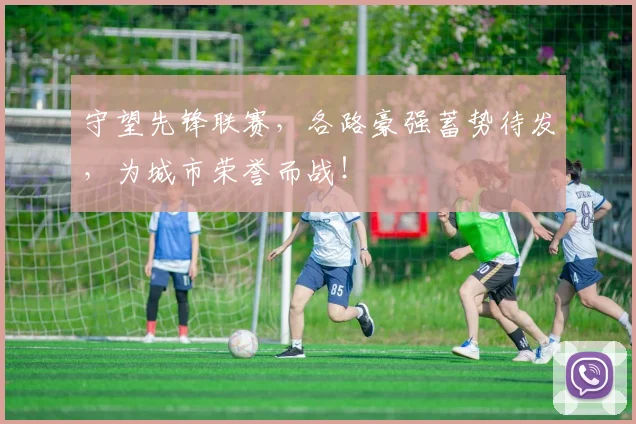 守望先锋联赛，各路豪强蓄势待发，为城市荣誉而战！
