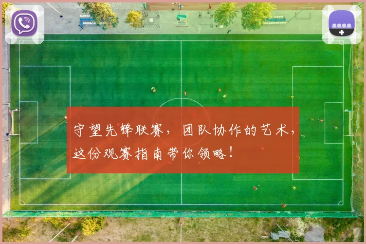 守望先锋联赛，团队协作的艺术，这份观赛指南带你领略！