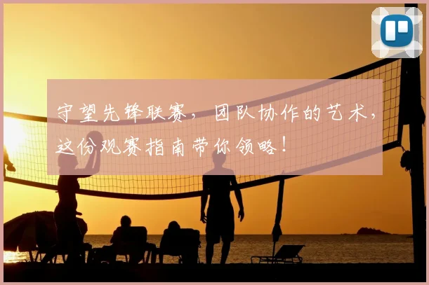 守望先锋联赛，团队协作的艺术，这份观赛指南带你领略！